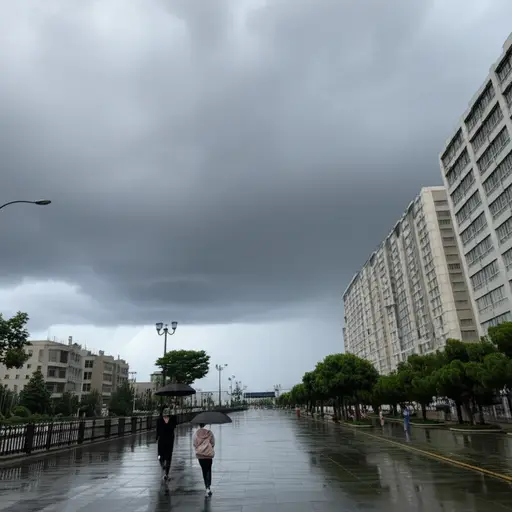 今天下午很可能会下雨。