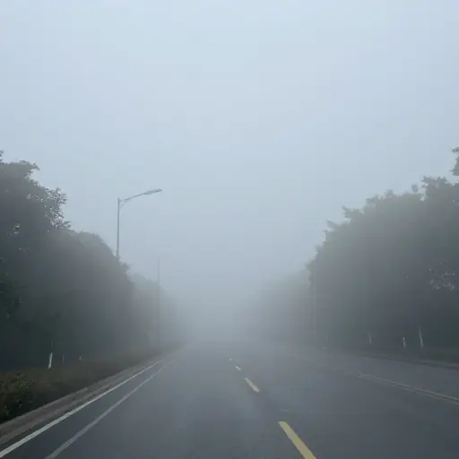 浓雾让人很难看清几英尺以外的东西。
