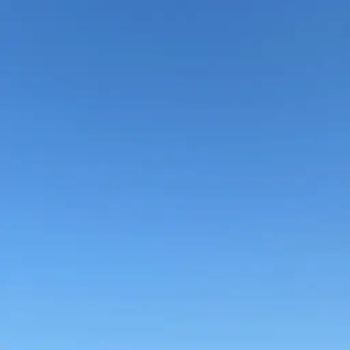那不仅是个美丽的日子，天空也是一种绚丽的蓝色。