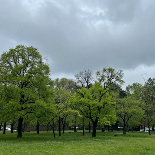 虽然现在是春天，但昨天是个灰暗的日子，有云和雨。