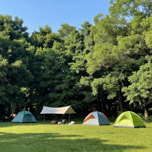 我们在森林附近露营了一个周末。