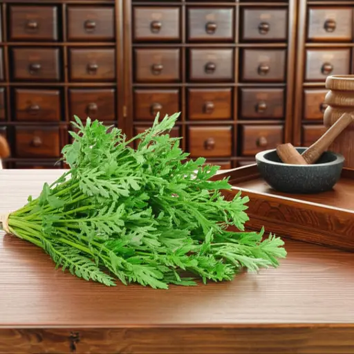 这种草药在民间被广泛使用。