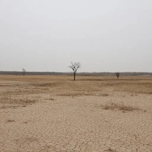 战争过后，这片土地变得荒无人烟。