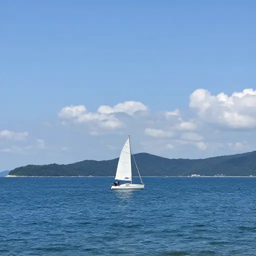 我们看着一艘小船沿着海岸线航行。
