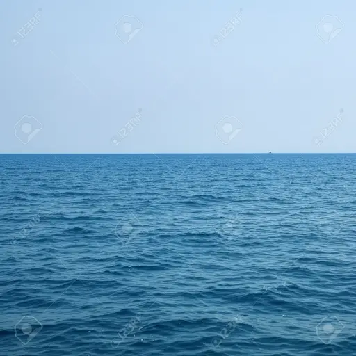 大海很平静。