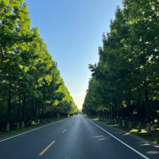 前景看起来一片光明。