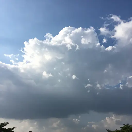 早上天气很好，但下午下了一些阵雨。