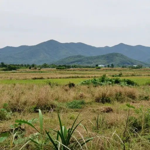 大部分乡村地区仍然未开发。