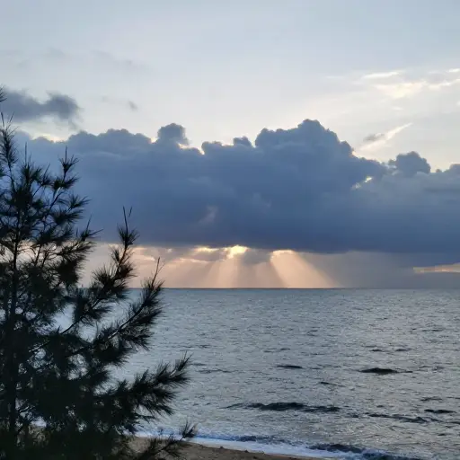 当风暴移向大海时，风终于开始减弱了。
