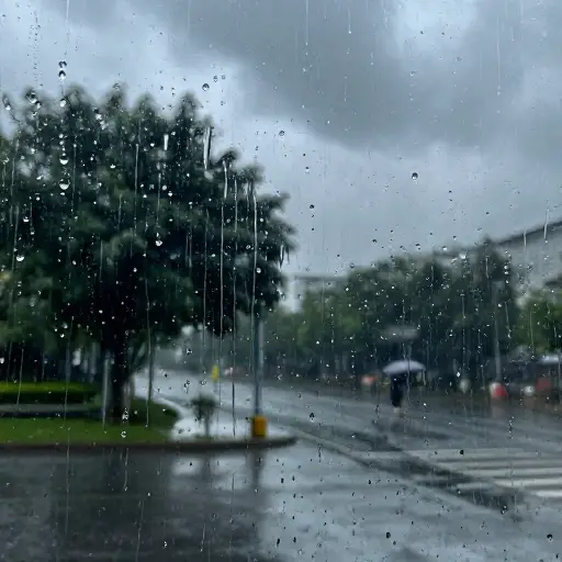 早上雨下得很大。