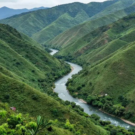 河水缓缓地流过山谷。
