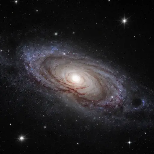 宇宙的复杂性确实能让你大开眼界。