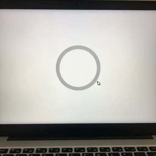 我打开太多标签页时，电脑有时会卡死。