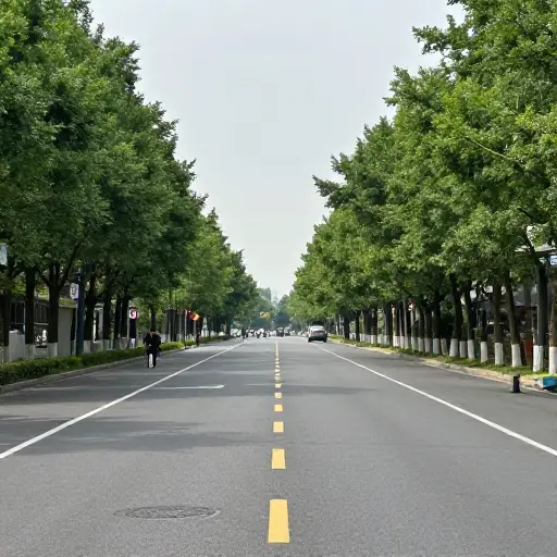 沿着这条路走到交通灯。
