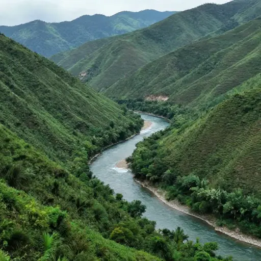 这条河沿着蜿蜒的路线穿过山谷。