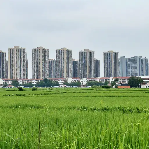 城市人口约占全国总人口的50%。