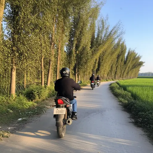 他们正骑着摩托车在乡间小路上兜风。