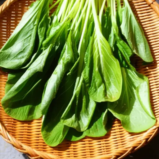 长时间高温后，这些蔬菜变得蔫巴巴的。