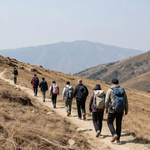 我们周末去山上进行了短途郊游。