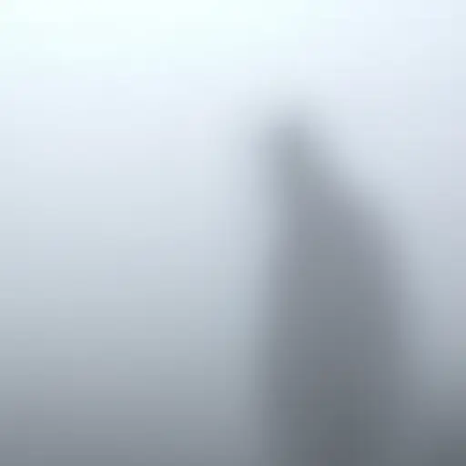 透过雾气，我只能看到一个模糊的人影。