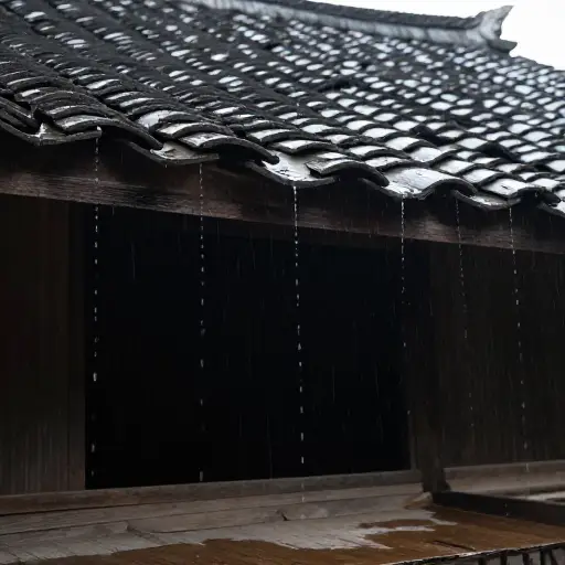 雨水从屋顶漏了进来。