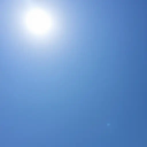 太阳高悬天空，没有云朵，看起来今天会是个美好的一天。