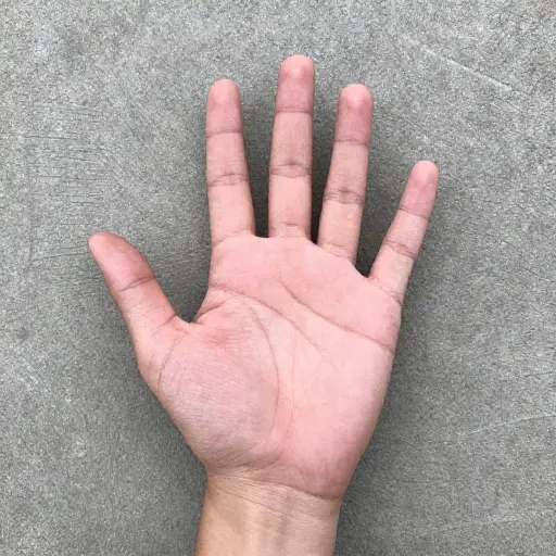它离地面只有这么高。