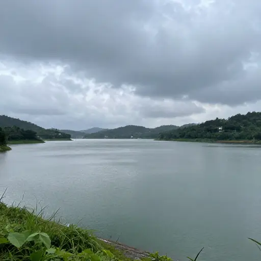 雨水随后在水库中积聚。