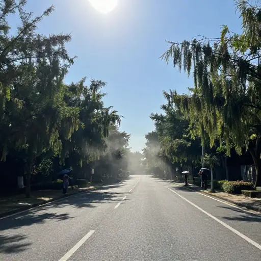 今天外面热得不可思议。