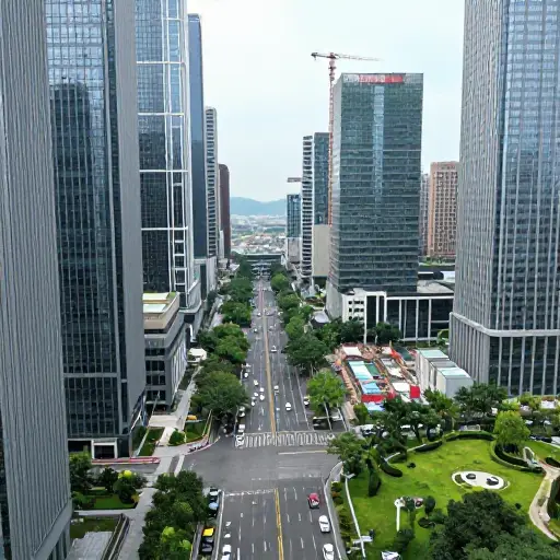 我们有足够的人口和经济力量来建立一个完整的城市。