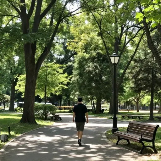 我每周去公园两次。
