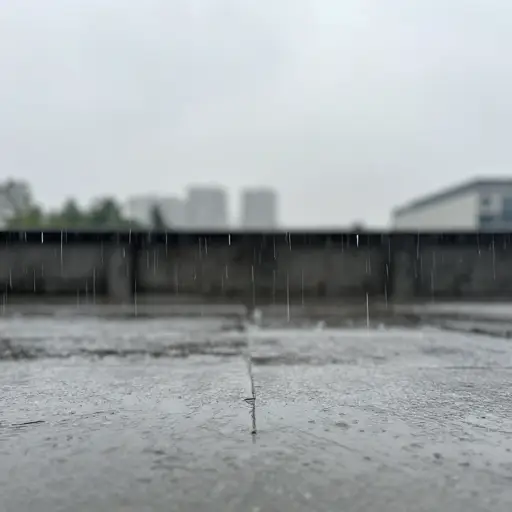 不用说，我们在那里的整个时间都在下雨。