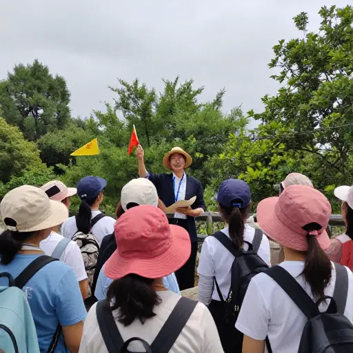 有没有有组织的旅行？