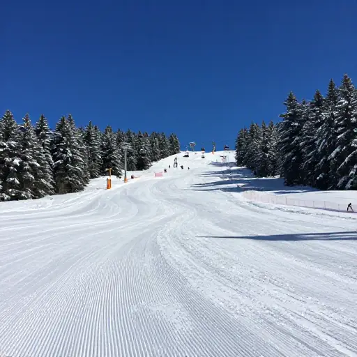 我们决定在淡季去滑雪胜地，以避免人群。