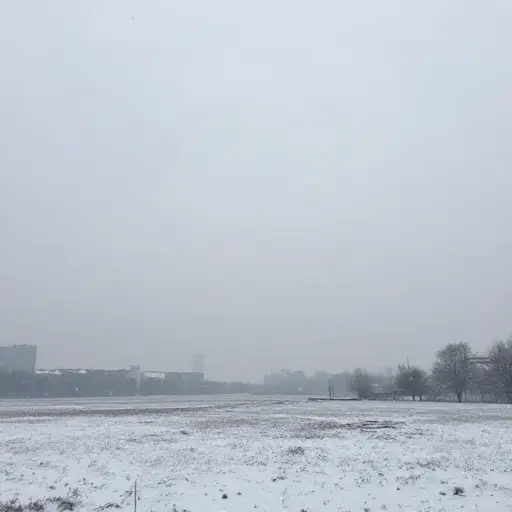看来要下雪了。