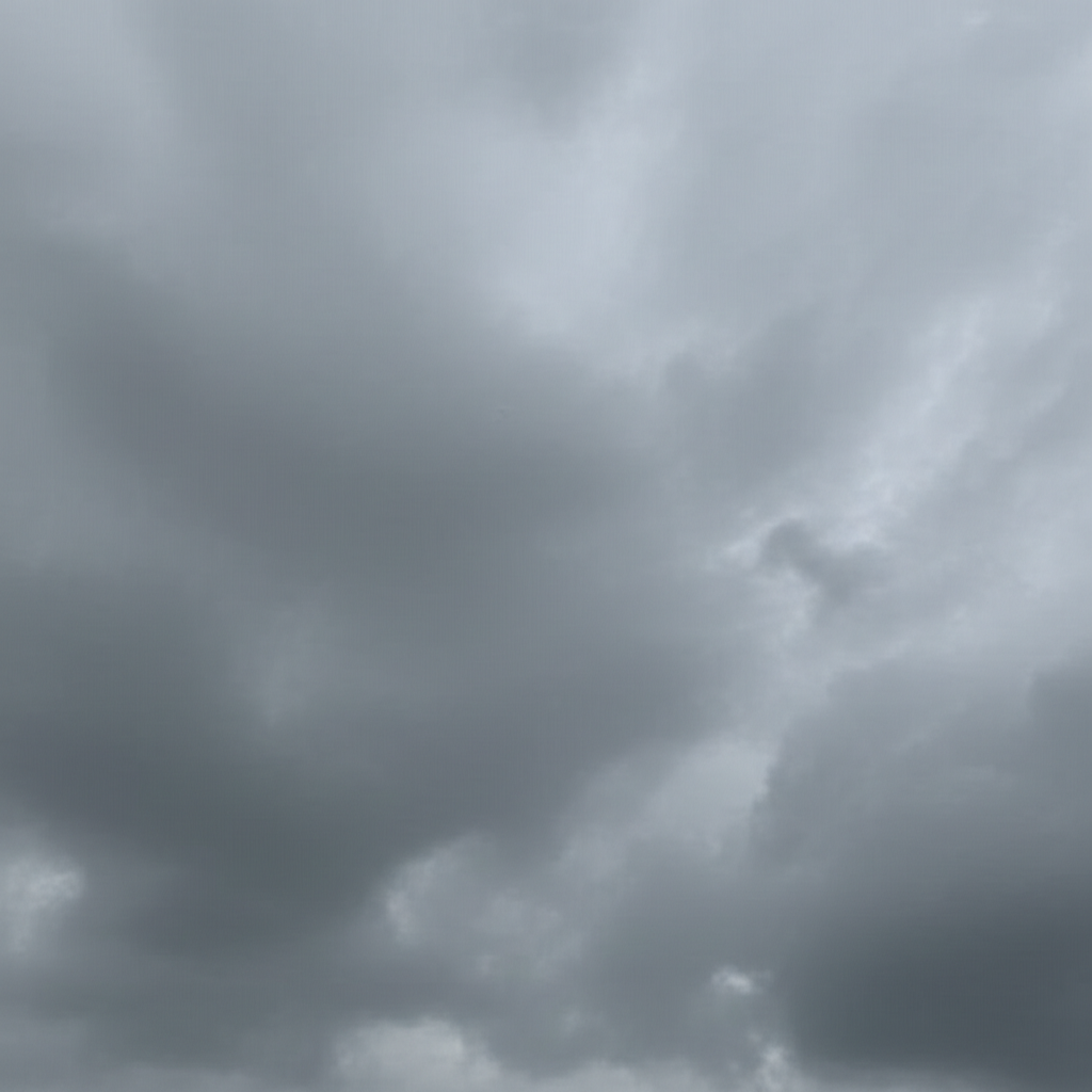 天空灰蒙蒙的，没有一丝阳光。