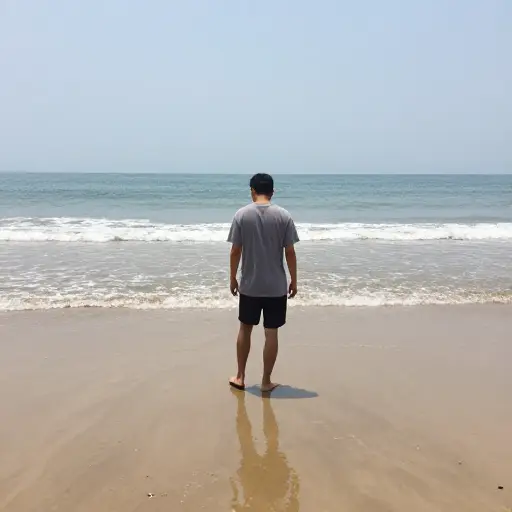 海水开始退潮，露出湿漉漉的沙滩。