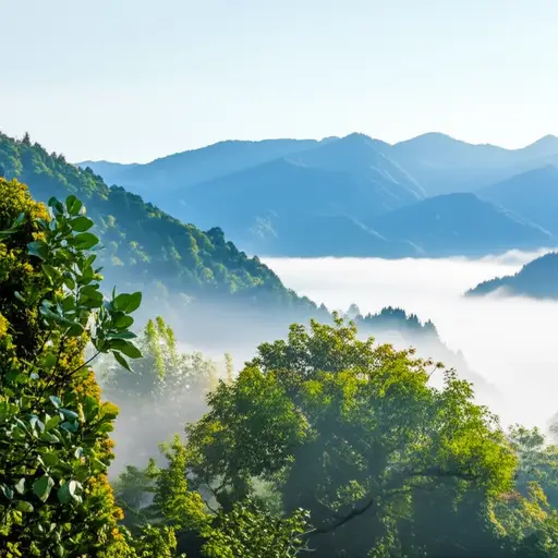 山里的空气很干净。