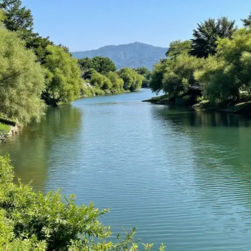 保护我们的淡水资源对可持续发展至关重要。