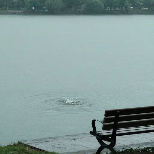 他们坐着聆听雨滴落在湖面上的溅水声。