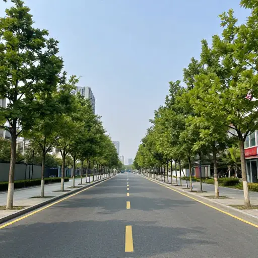 城市种植更多树木以控制空气污染水平。