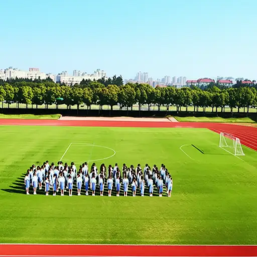 学生们在操场上排成整齐的队伍。