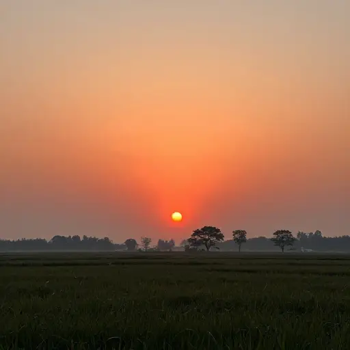 这是一个简单的事实：太阳从东边升起。