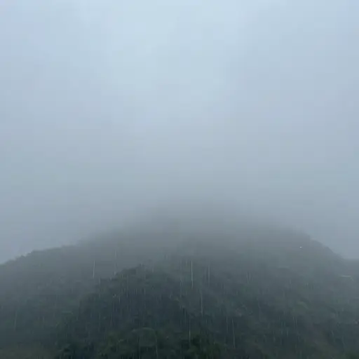 雾越来越浓，雨也越下越大。