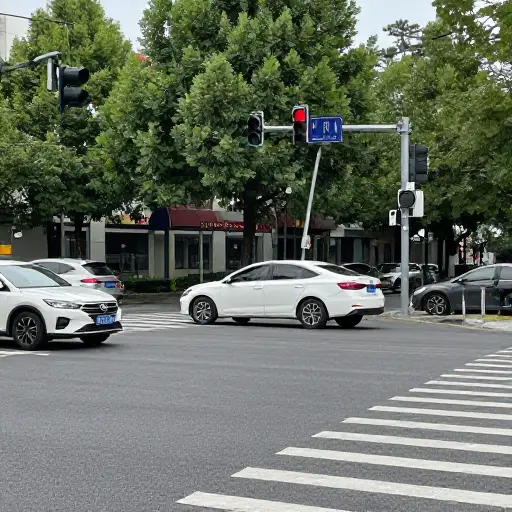 你应该在红灯时停车。