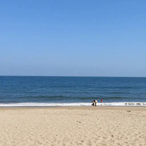 去年夏天我们在海滩度过了非常棒的时光。