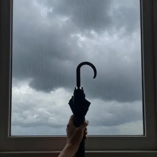 我应该带伞吗？
