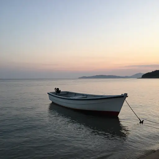 他把船停在海岸附近过夜。