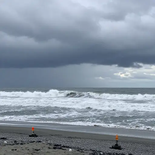 日本最近的地震引发了海啸警报。