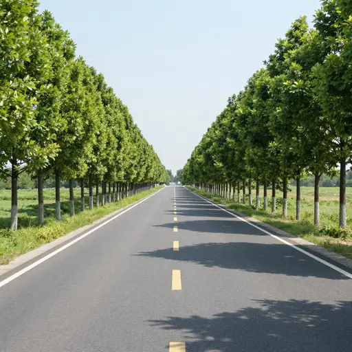 这条路的长度是两公里。